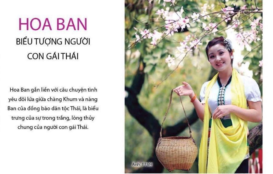 Agri Hotel Diện Biên Phủ Exteriör bild